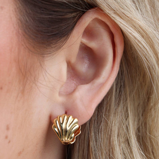 Small Shell Earring